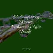 50 Comforting Winter Enhancing Rain Tracks