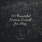 50 Beautiful Nature Sounds for Sleep