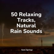 50 Relaxing Tracks, Natural Rain Sounds