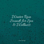 Winter Rain Sounds for Spa & Wellness