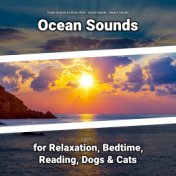 Ocean Sounds for Relaxation, Bedtime, Reading, Dogs & Cats