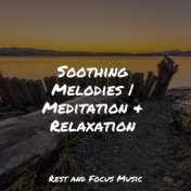 Soothing Melodies | Meditation & Relaxation