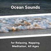 Ocean Sounds for Relaxing, Napping, Meditation, All Ages