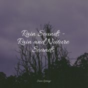 Rain Sounds - Rain and Nature Sounds