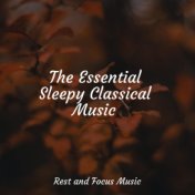 The Essential Sleepy Classical Music