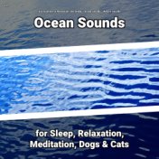 z Z Ocean Sounds for Sleep, Relaxation, Meditation, Dogs & Cats