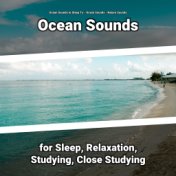 Ocean Sounds for Sleep, Relaxation, Studying, Close Studying