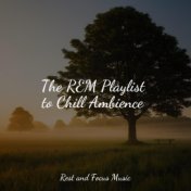 The REM Playlist to Chill Ambience