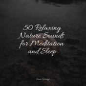 50 Relaxing Nature Sounds for Meditation and Sleep