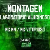 Montagem Laboratorio Alucinoso