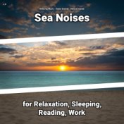z Z Sea Noises for Relaxation, Sleeping, Reading, Work