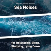 z Z z Sea Noises for Relaxation, Sleep, Studying, Lying Down