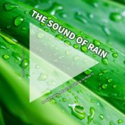 #01 The Sound of Rain for Night Sleep, Relaxing, Studying, to Read To