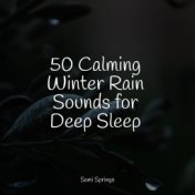 50 Calming Winter Rain Sounds for Deep Sleep