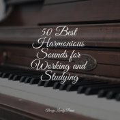 50 Best Harmonious Sounds for Working and Studying
