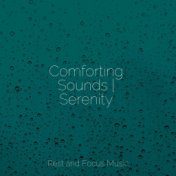 Comforting Sounds | Serenity
