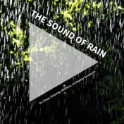 #01 The Sound of Rain for Sleep, Relaxing, Wellness, to Release Serotonin