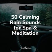 50 Calming Rain Sounds for Spa & Meditation