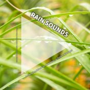 #01 Rain Sounds for Sleeping, Relaxation, Meditation, to Release Blockages