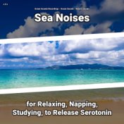 z Z z Sea Noises for Relaxing, Napping, Studying, to Release Serotonin