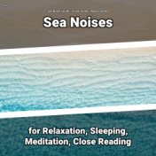z Z Sea Noises for Relaxation, Sleeping, Meditation, Close Reading