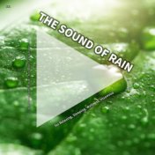 #01 The Sound of Rain for Relaxing, Sleeping, Wellness, Insomnia