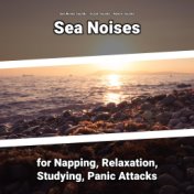 Sea Noises for Napping, Relaxation, Studying, Panic Attacks