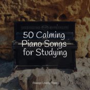 50 Calming Piano Songs for Studying