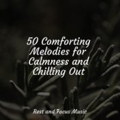 50 Comforting Melodies for Calmness and Chilling Out