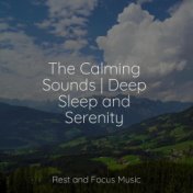 The Calming Sounds | Deep Sleep and Serenity