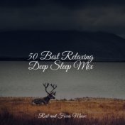 50 Best Relaxing Deep Sleep Mix