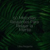 50 Melodías Relajantes Para Relajar la Mente