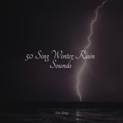 50 Sing Winter Rain Sounds