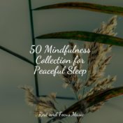 50 Mindfulness Collection for Peaceful Sleep