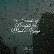 50 Soothing Rain Droplet Songs