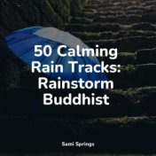 50 Calming Rain Tracks: Rainstorm Buddhist