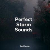 Perfect Storm Sounds