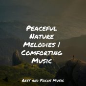 Peaceful Nature Melodies | Comforting Music