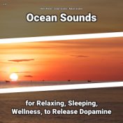 z Z Ocean Sounds for Relaxing, Sleeping, Wellness, to Release Dopamine