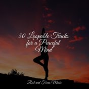 50 Loopable Tracks for a Peaceful Mind