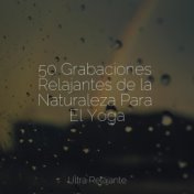 50 Grabaciones Relajantes de la Naturaleza Para El Yoga