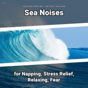 z Z z Sea Noises for Napping, Stress Relief, Relaxing, Fear