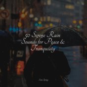 50 Serene Rain Sounds for Peace & Tranquility