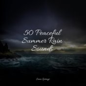 50 Peaceful Summer Rain Sounds