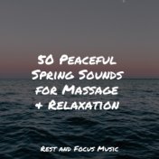 50 Peaceful Spring Sounds for Massage & Relaxation