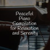 Peaceful Piano Compilation for Relaxation and Serenity