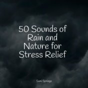 50 Sounds of Rain and Nature for Stress Relief