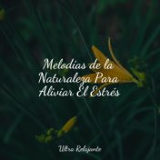 Melodías de la Naturaleza Para Aliviar El Estrés