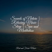 Sounds of Nature | Relaxing Music | Sleep | Spa and Meditation