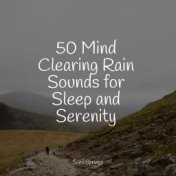 50 Mind Clearing Rain Sounds for Sleep and Serenity